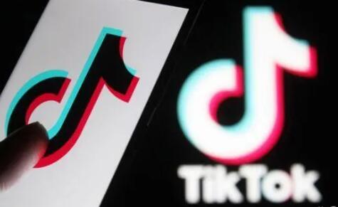 TikTok营销战术大全，小白一看即懂篇