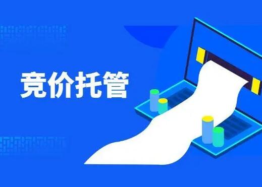 百度、、、360、、、抖音等竞价运营